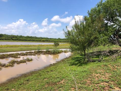 1277 County Road 138 Floresville TX 78114