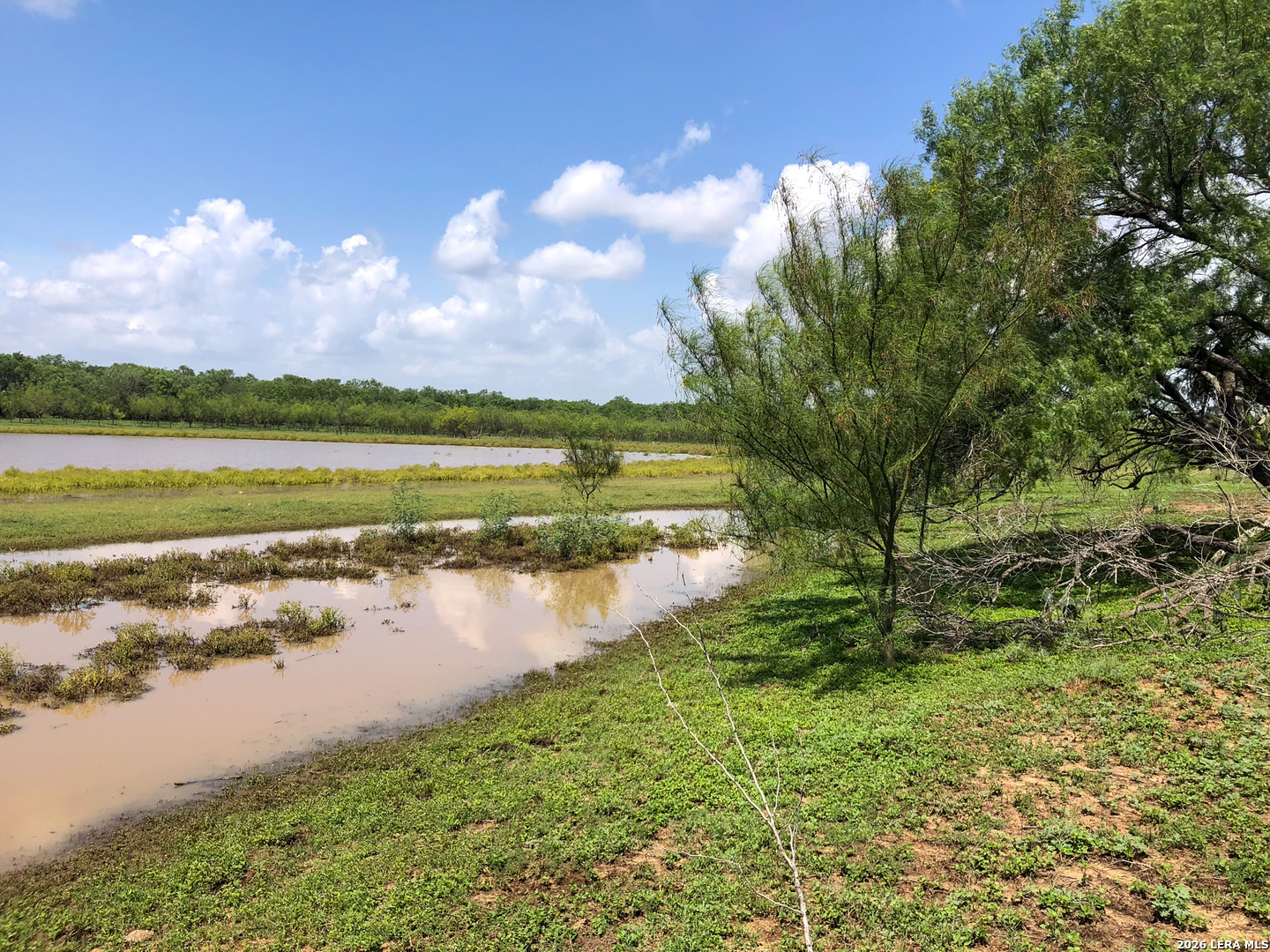 1277 County Road 138 Floresville TX 78114