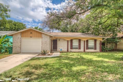 11963 Alamo Blanco Street San Antonio TX 78233
