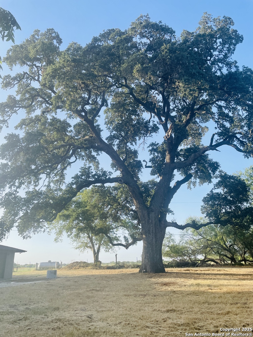 3010 Triple Tree China Grove TX 78263