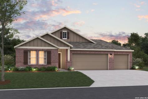 17508 Bigtooth Aspen Drive Elmendorf TX 78112
