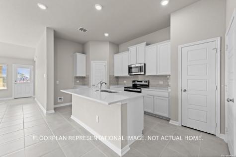 17508 Bigtooth Aspen Drive Elmendorf TX 78112