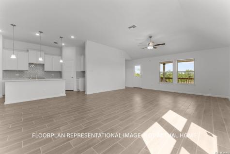 17508 Bigtooth Aspen Drive Elmendorf TX 78112