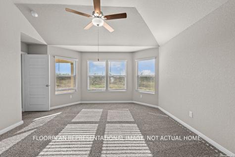 17508 Bigtooth Aspen Drive Elmendorf TX 78112