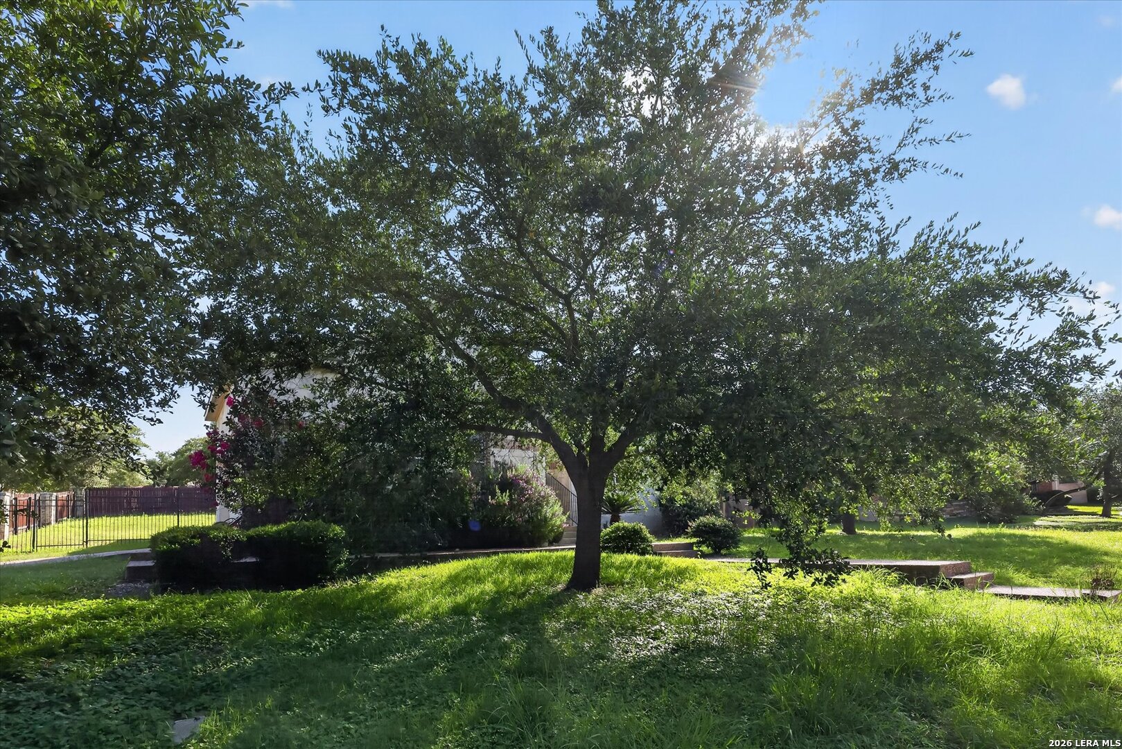 20918 Cactus Ridge San Antonio TX 78258