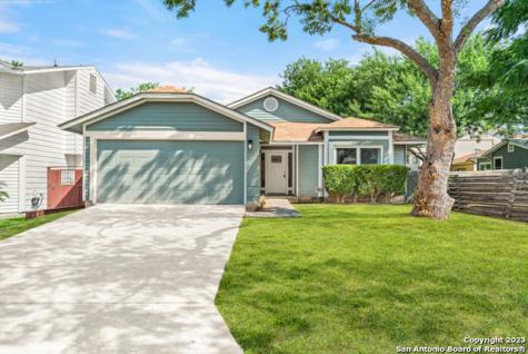 13119 Turkey Feather Drive San Antonio TX 78233