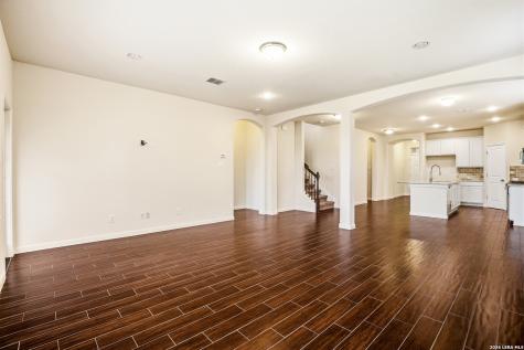 22915 Carriage Bush San Antonio TX 78261