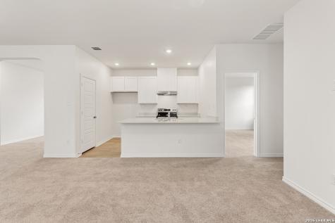 4273 Harper Lee Lane New Braunfels TX 78130