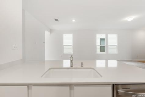 4273 Harper Lee Lane New Braunfels TX 78130