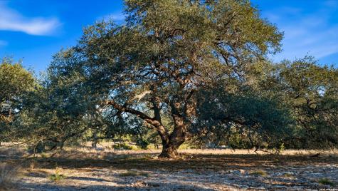 28749 Countryside New Braunfels TX 78132
