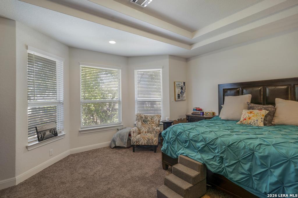 8223 Scarlet Gaura Boerne TX 78015