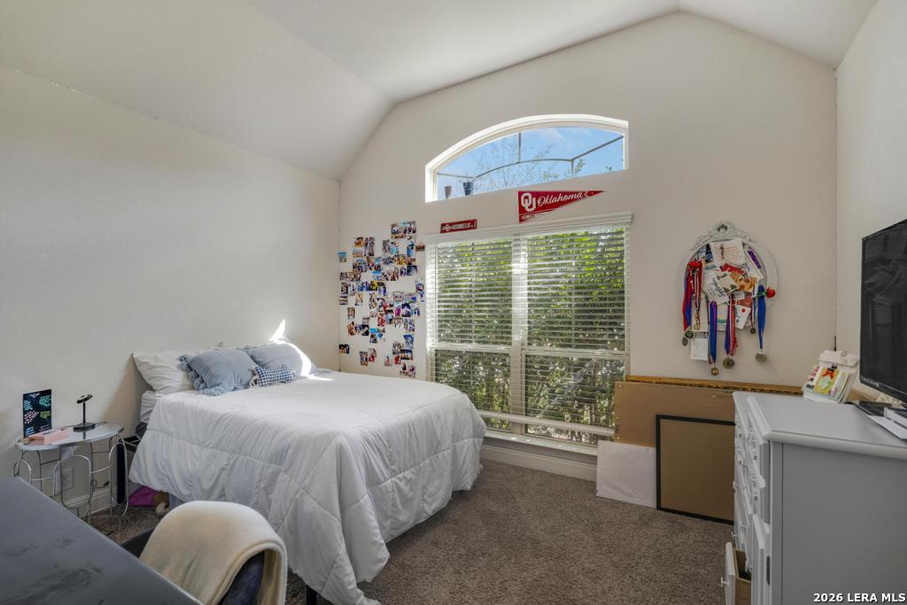 8223 Scarlet Gaura Boerne TX 78015