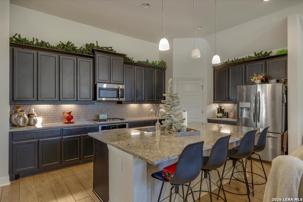 8223 Scarlet Gaura Boerne TX 78015