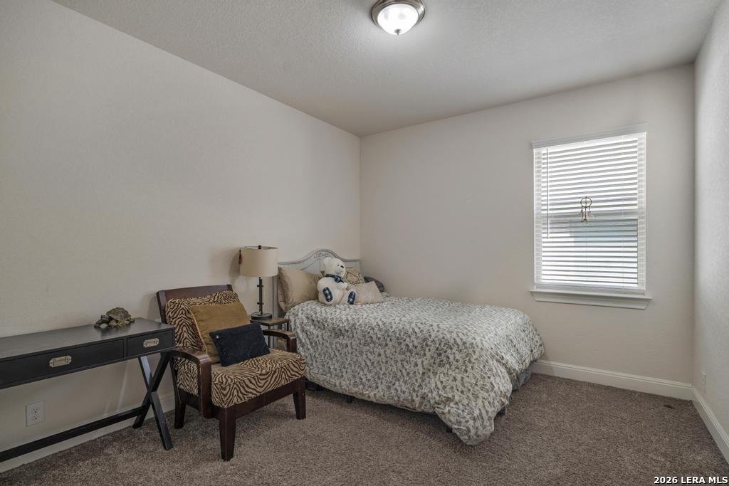 8223 Scarlet Gaura Boerne TX 78015