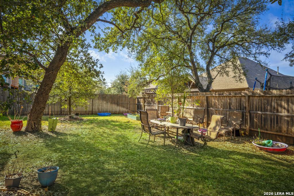 8223 Scarlet Gaura Boerne TX 78015