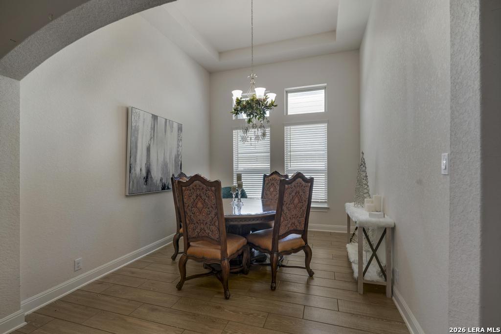 8223 Scarlet Gaura Boerne TX 78015