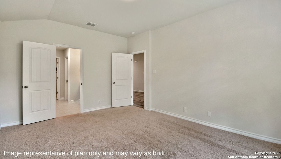 170 Hooded Dotterel San Antonio TX 78253