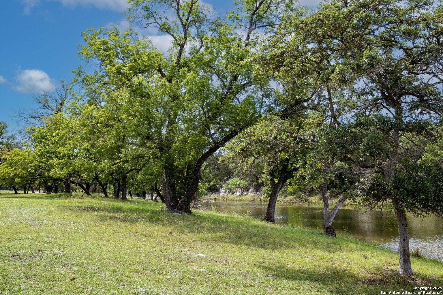 170 Goose Landing Way Harper TX 78631