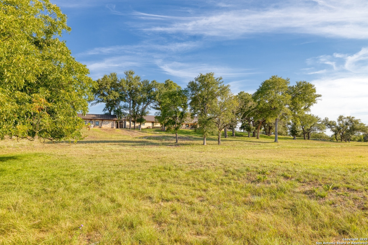 170 Goose Landing Way Harper TX 78631