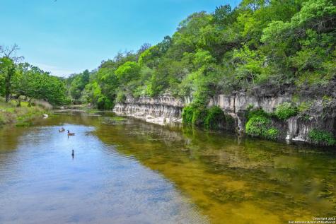 170 Goose Landing Way Harper TX 78631