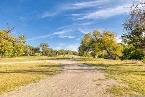 170 Goose Landing Way Harper TX 78631