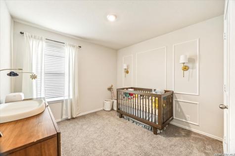 10011 Crabapple Pass San Antonio TX 78254