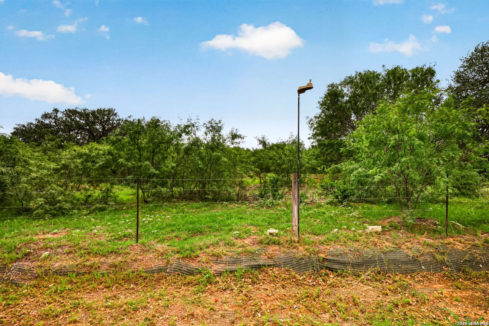 1705 Crooked Creek Drive Pleasanton TX 78064