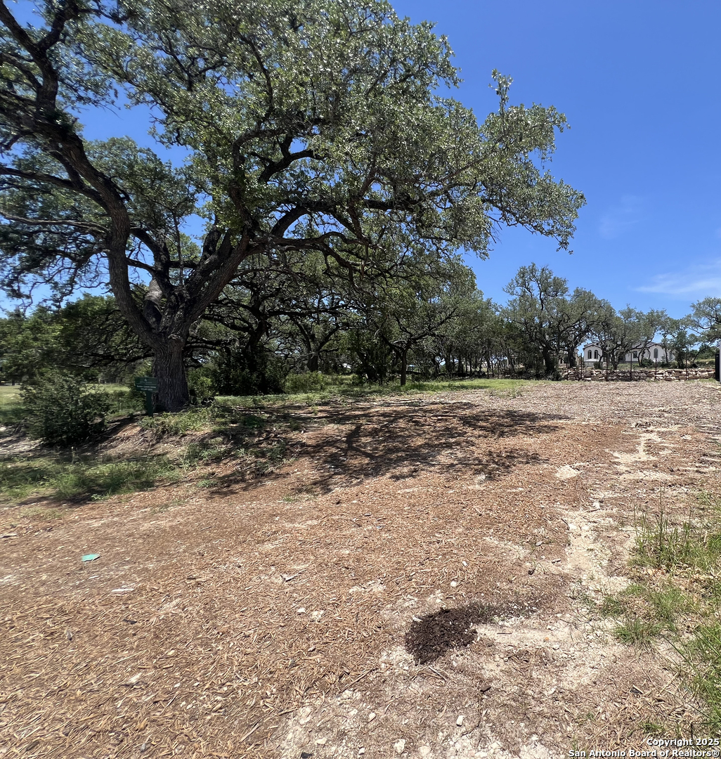 24610 Cliff Line San Antonio TX 78257