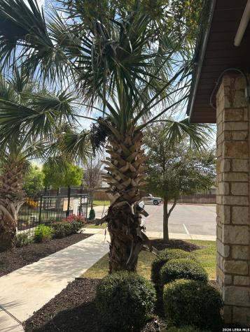 12939 Mayowa San Antonio TX 78254