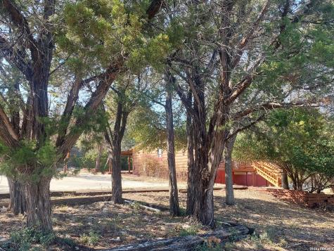 206 Sir Winston Drive Canyon Lake TX 78133