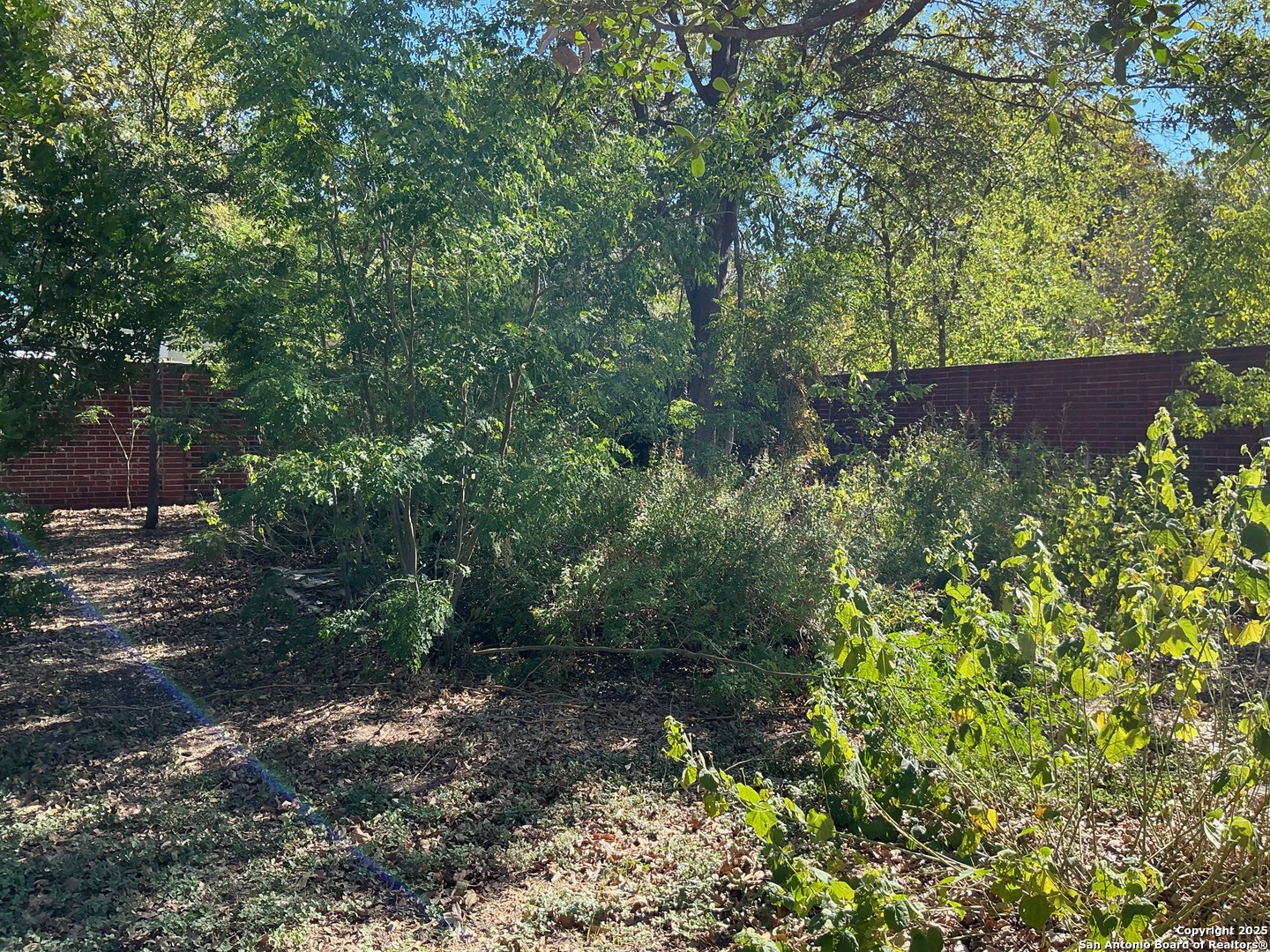 134 Vassar San Antonio TX 78212