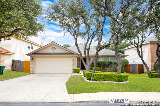 1132 Lion King San Antonio TX 78251