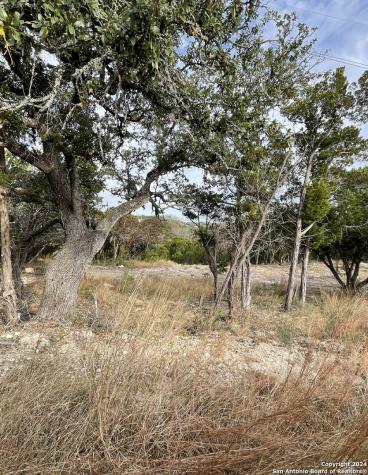 807 Stagecoach Spring Branch TX 78070
