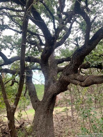 807 Stagecoach Spring Branch TX 78070