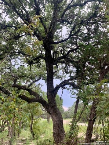 807 Stagecoach Spring Branch TX 78070