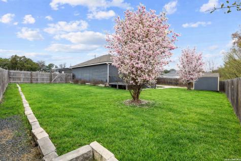 441 Cimarron Spring Branch TX 78070