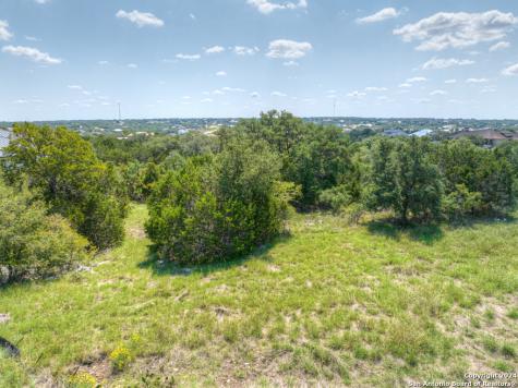 1020 Riesling New Braunfels TX 78132