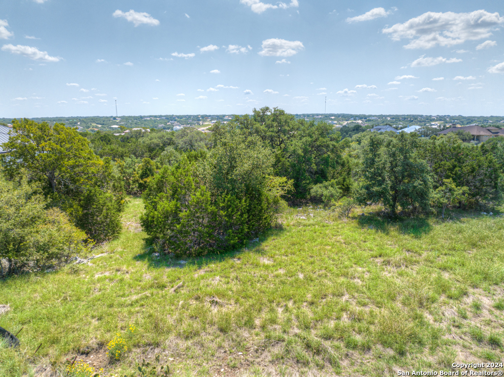 1020 Riesling New Braunfels TX 78132