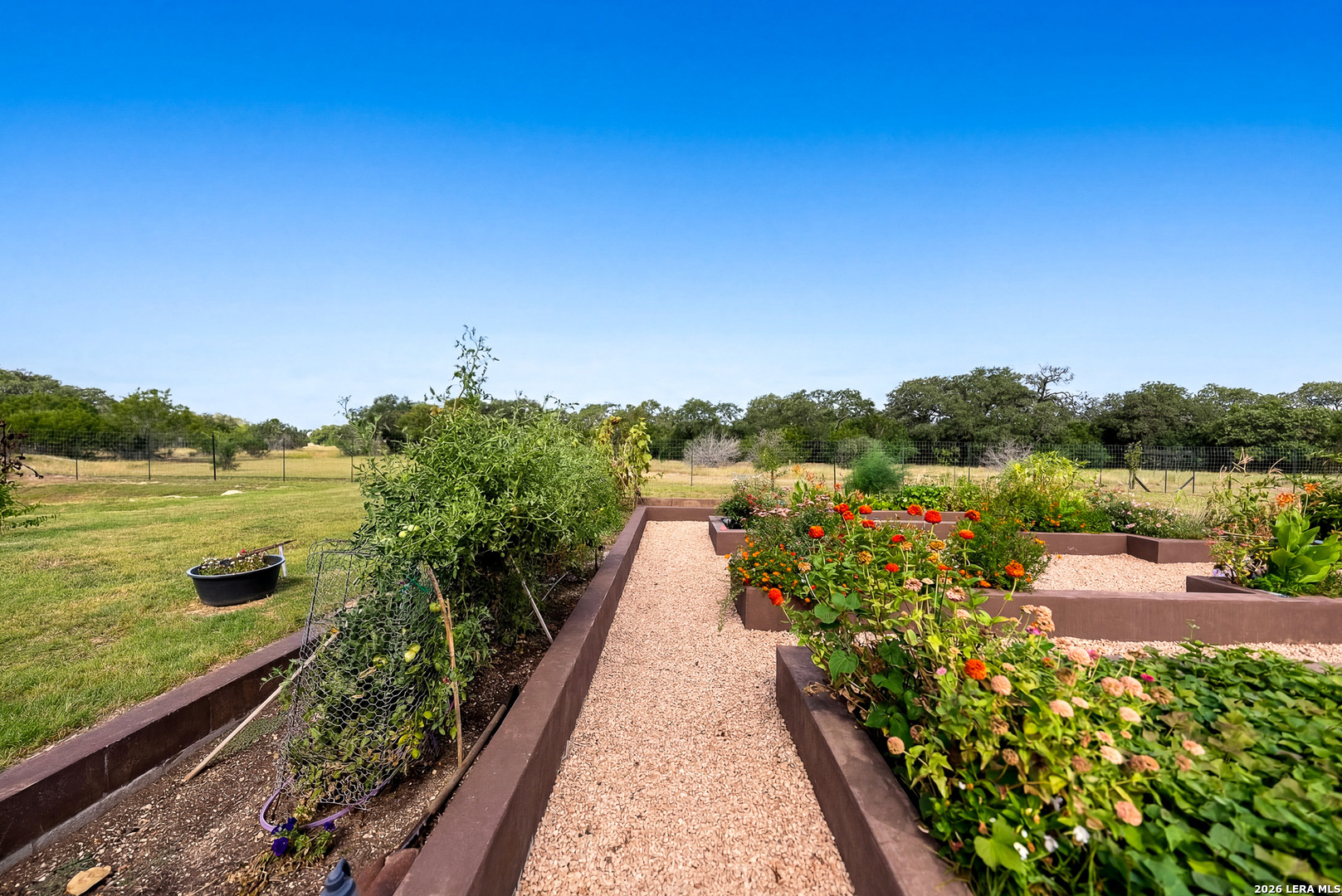 238 Sabinas Creek Ranch Road Boerne TX 78006