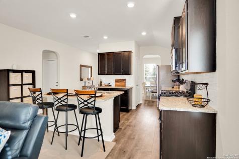 13019 Minuet Sway San Antonio TX 78252