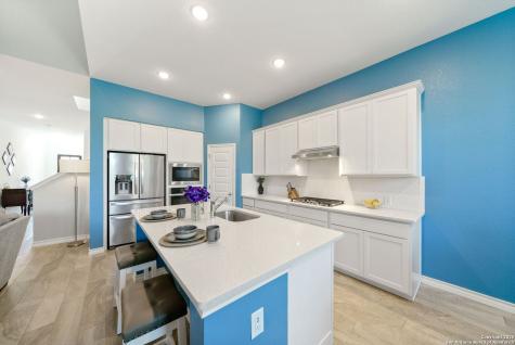 1524 Leeds Park Bulverde TX 78163