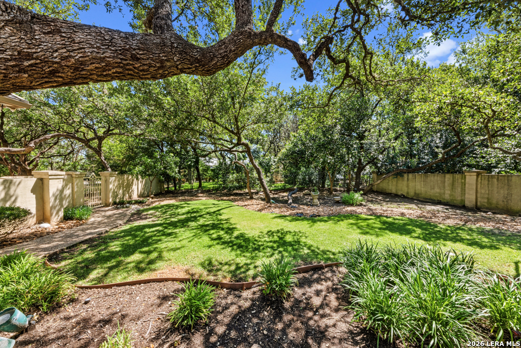 519 Blackjack Oak Shavano Park TX 78230