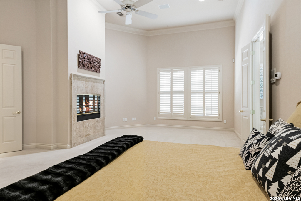 519 Blackjack Oak Shavano Park TX 78230