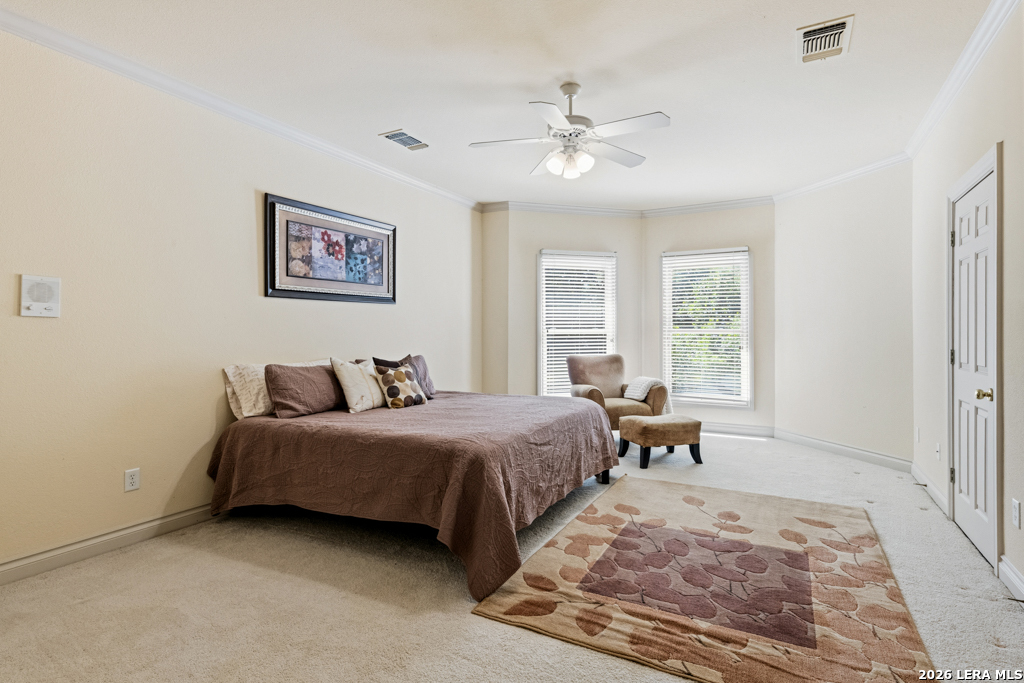 519 Blackjack Oak Shavano Park TX 78230