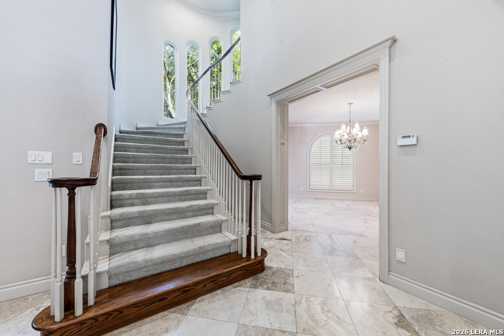 519 Blackjack Oak Shavano Park TX 78230