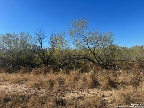 Lots 2451-2452 Avenue J Christine TX 78012
