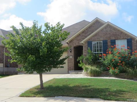 12918 Texas Gold San Antonio TX 78253