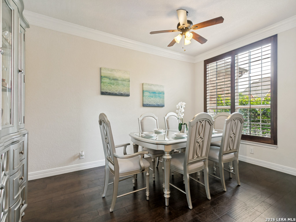 3519 Crest Noche Drive San Antonio TX 78261