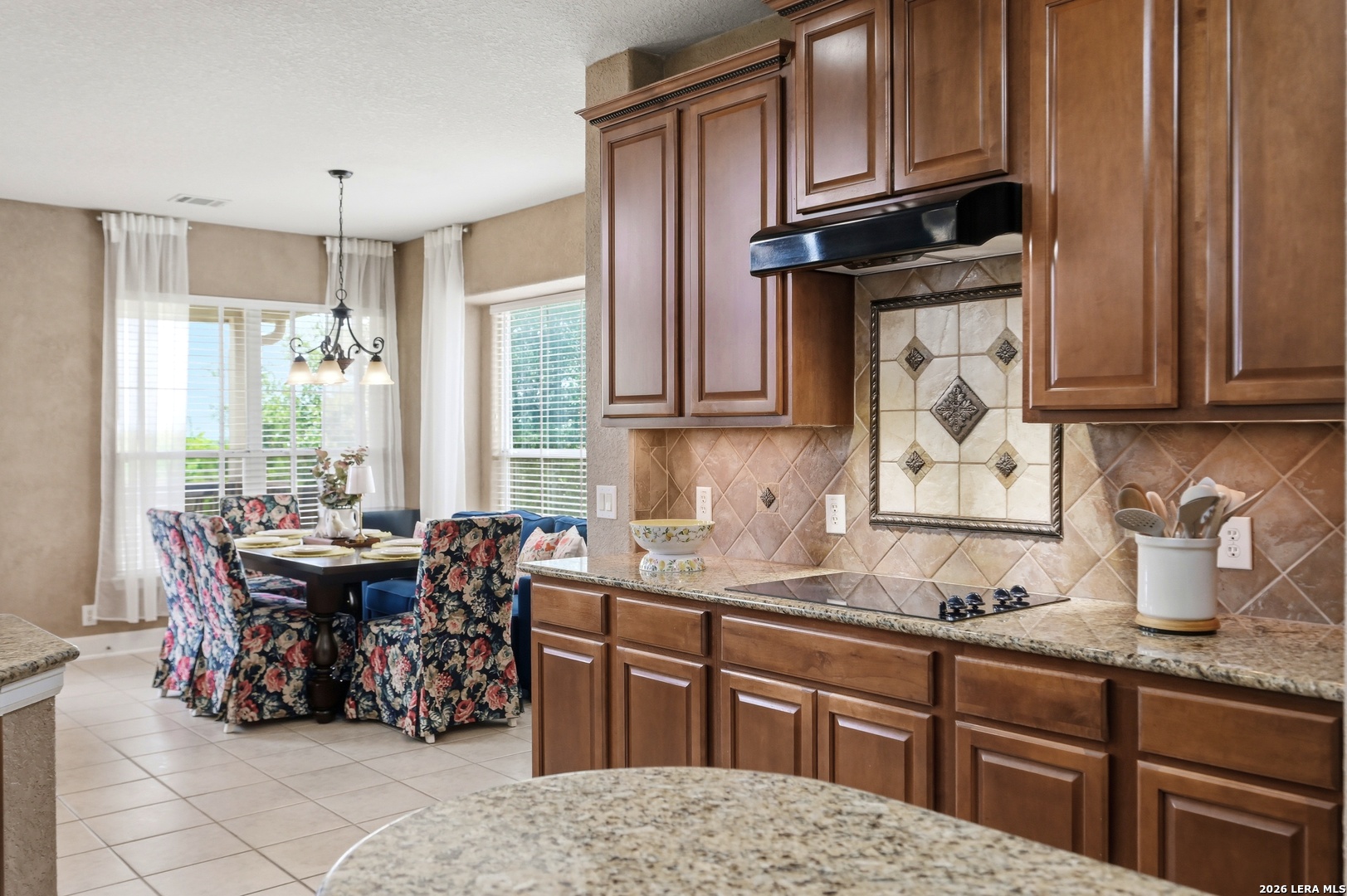 13118 Spring Run Helotes TX 78023