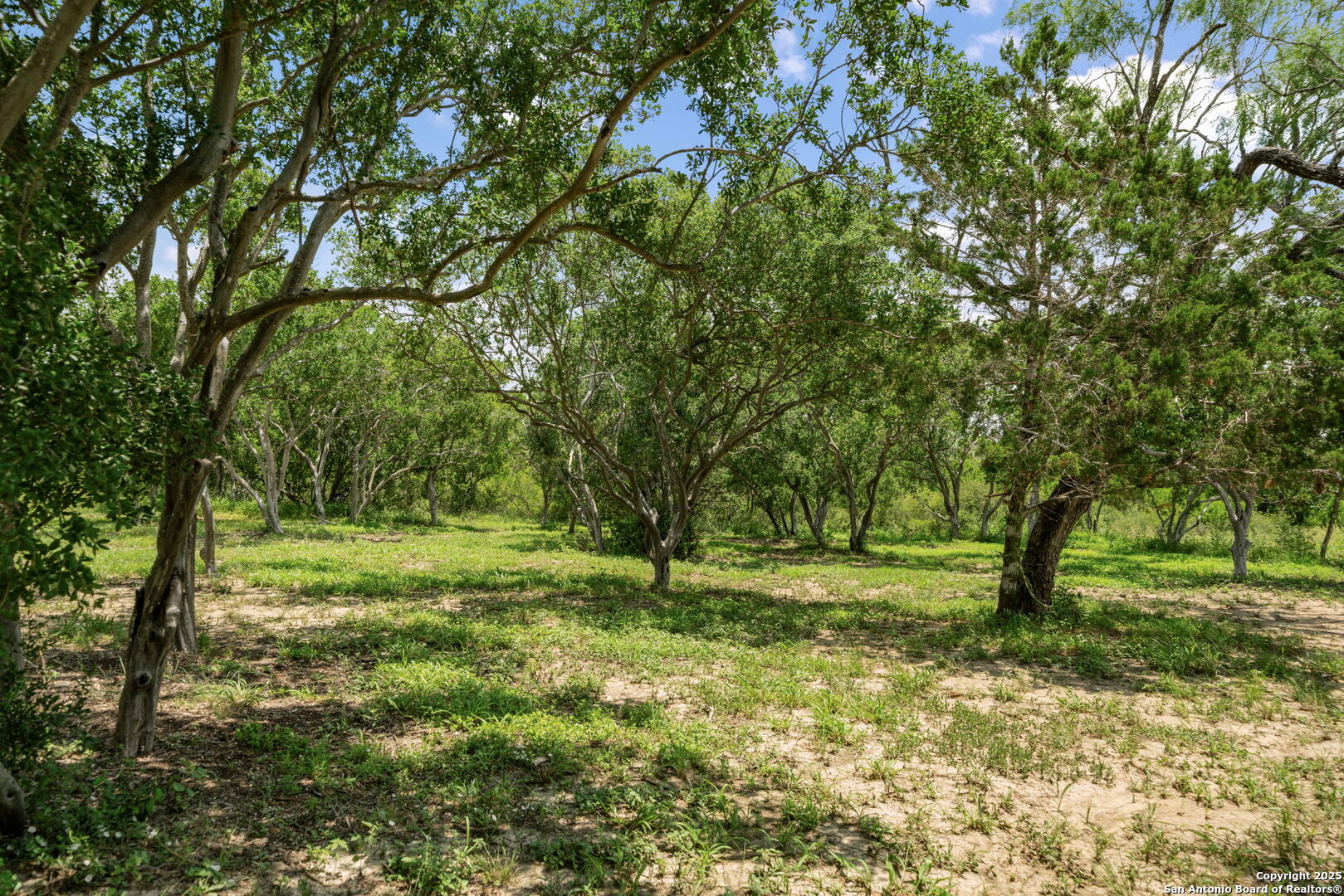 260 County Road 367 Hondo TX 78861